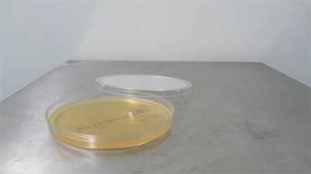 上海室內空氣質量檢測中心-上海CMA檢測報告